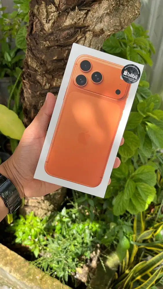 Iphone 17 Promax 256 Gb