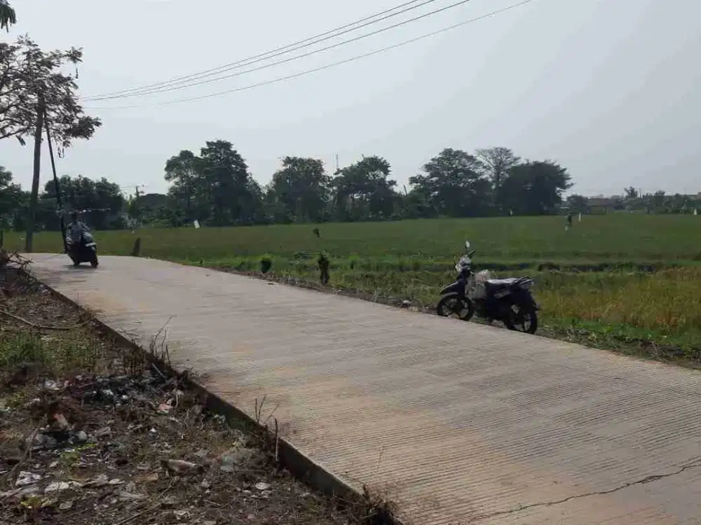 Tanah 5 Hektar Subang Jawa Barat Perbatasan Karawang