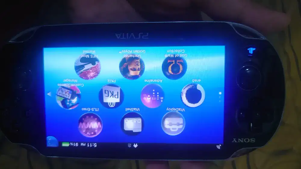 PS Vita Fat 256GB Memory Sandisk