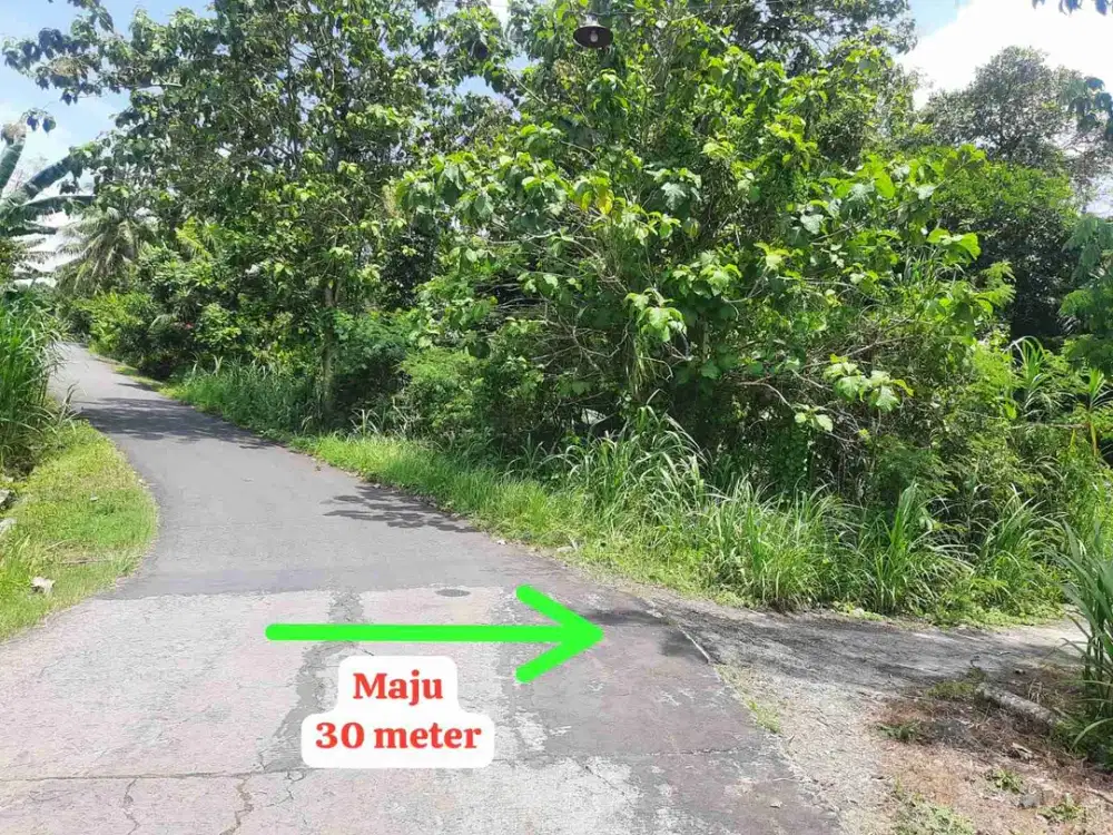 JUAL TANAH DI BANGUNCIPTO SENTOLO KULONPROGO DEKAT EXIT TOL