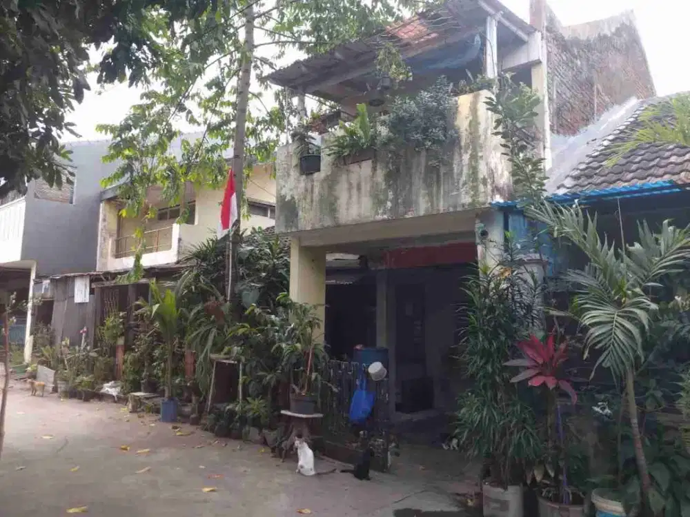 KAMAR 7 MURAH TANAH LUAS RIUNG BANDUNG RENOV DIKIT JOSS