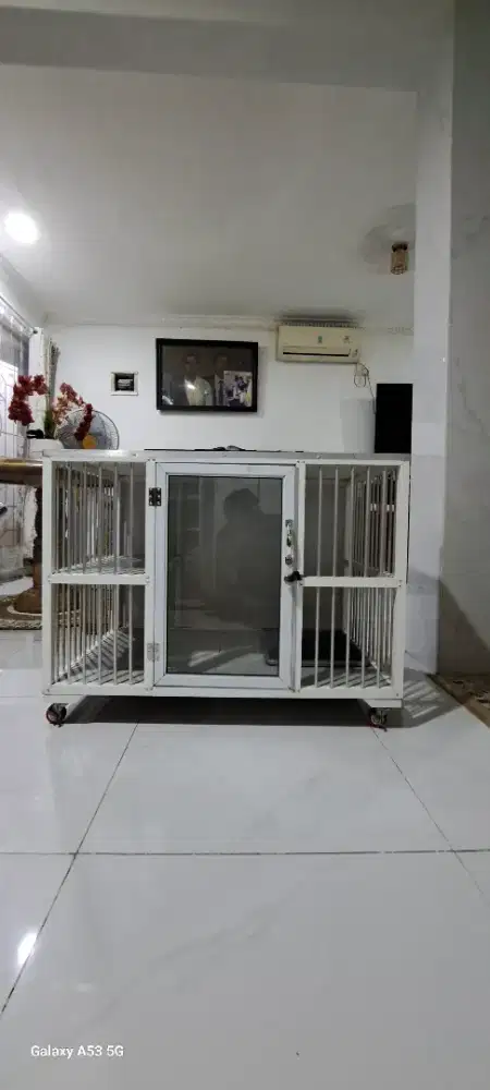 Jual kandang kucing
