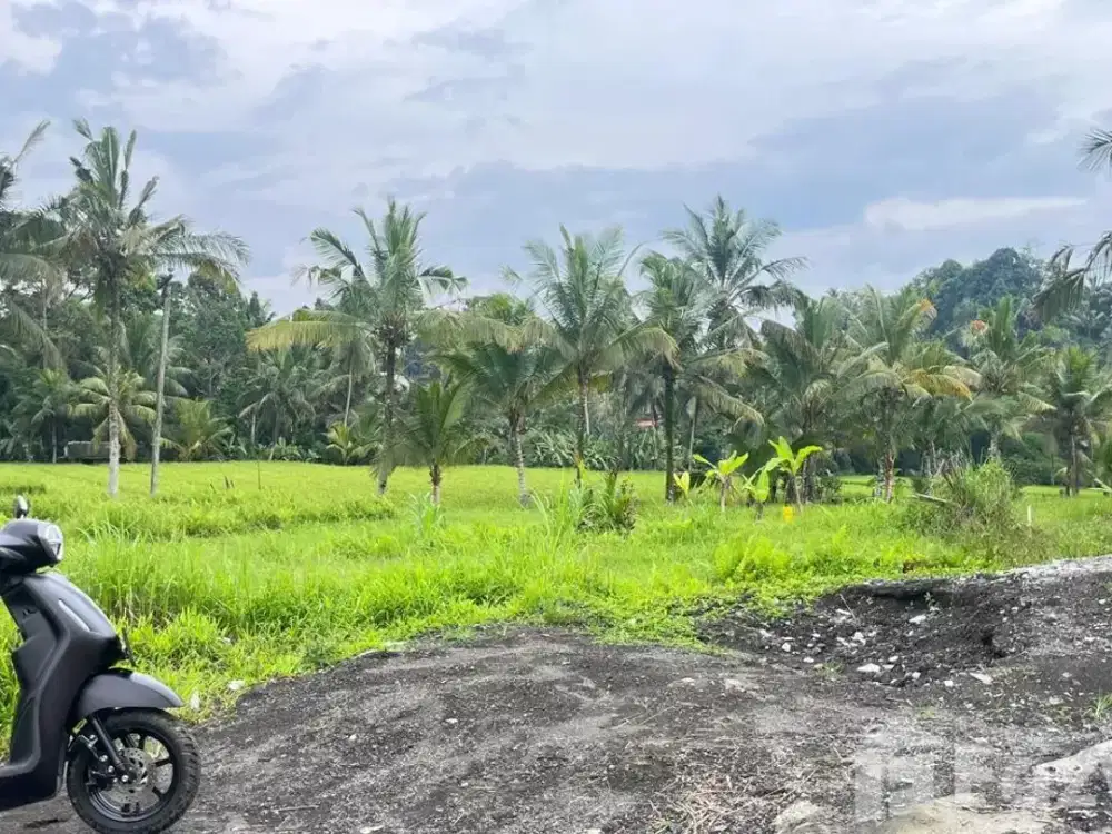 Land for sale in Susut, Bali