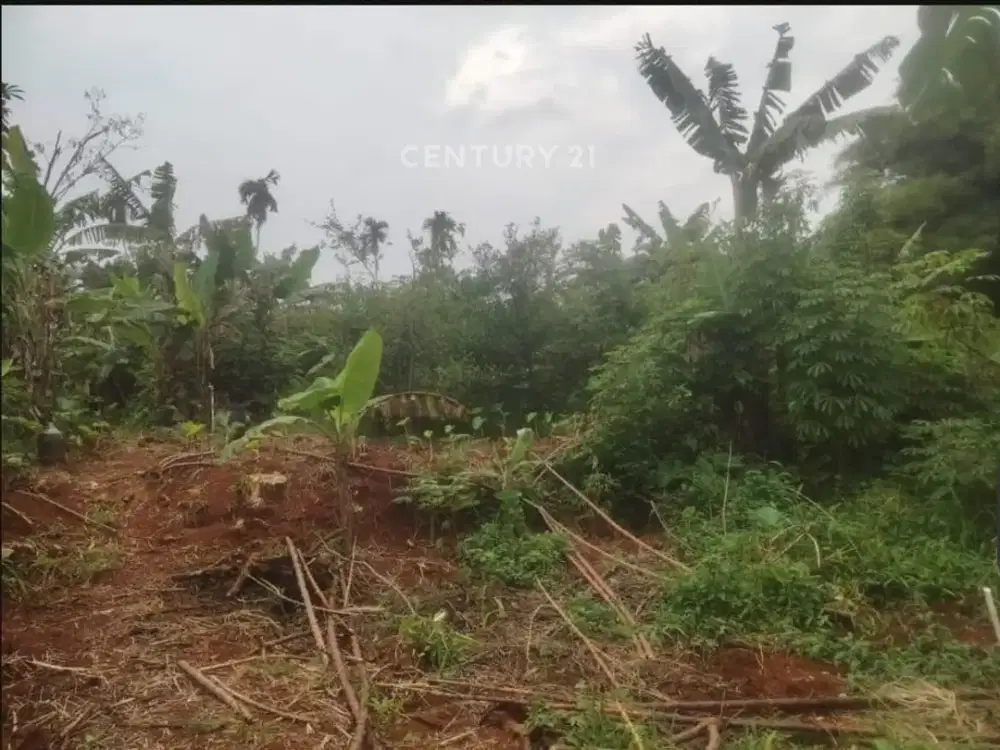 Dijual Kavling Luas Di Parung Bogor Dr17517