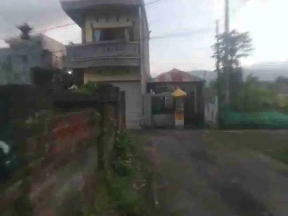 Tanah 1,5 Are Panji Sukasada Buleleng Blkg Ktr Samsat