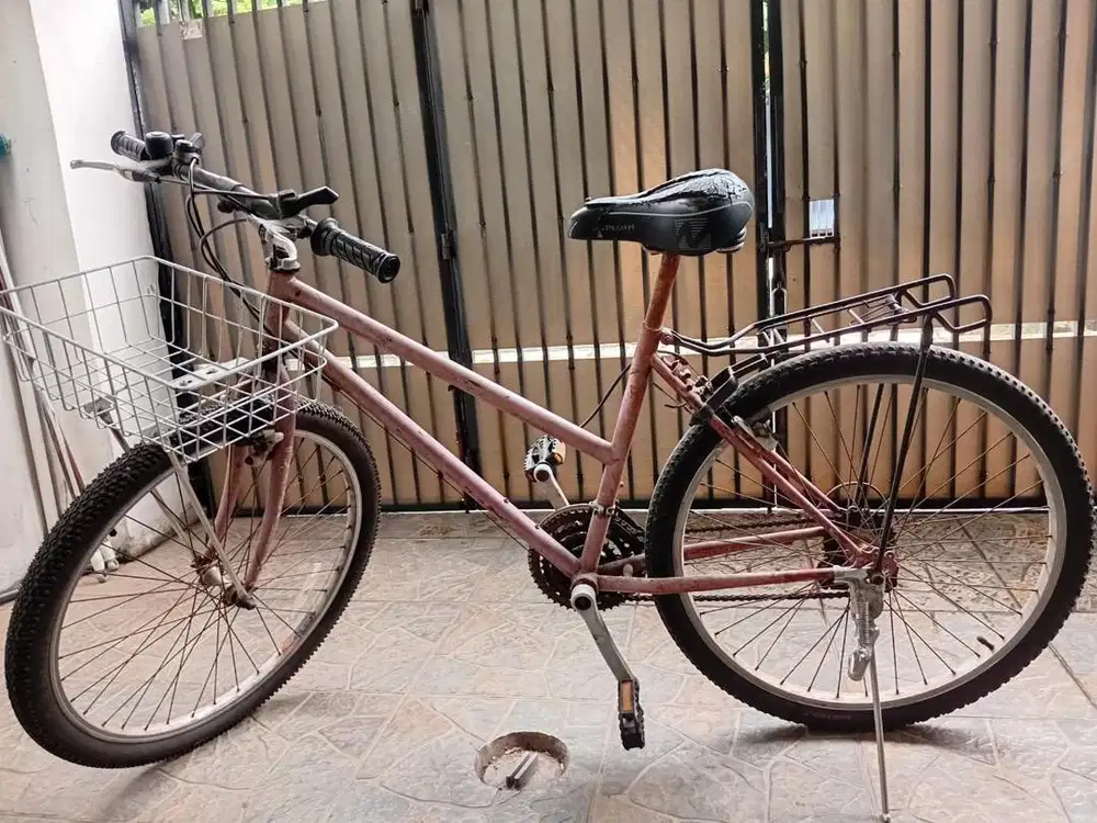 Sepeda Federal Vintage