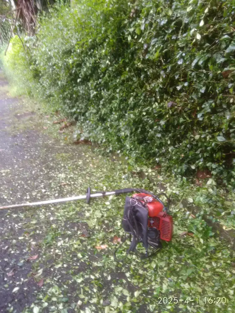 Tukang potong rumput bersahabat