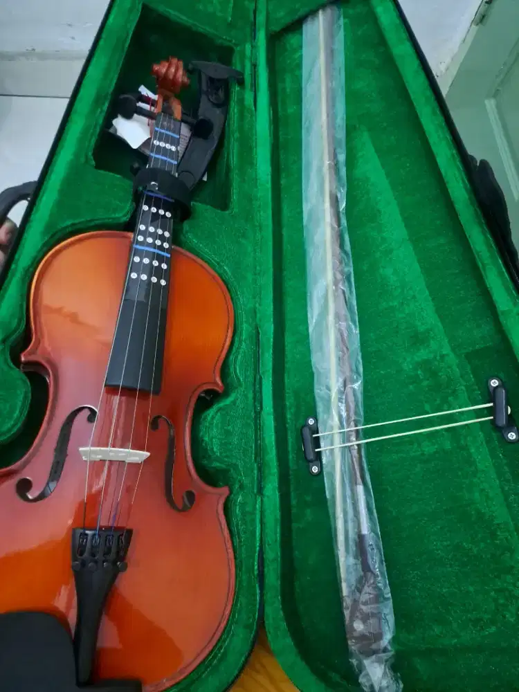 Biola Vienna solid wood