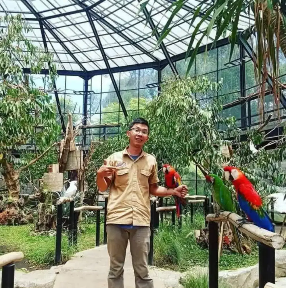 mencari pekerjaan zoo keeper atau perawat hewan