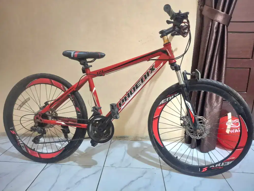 Sepeda Phonix 171 MX