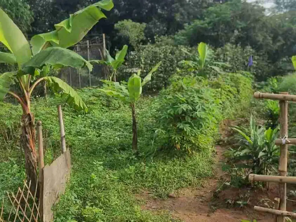 Tanah industri murah 3684m shm cikupa tangerang banten