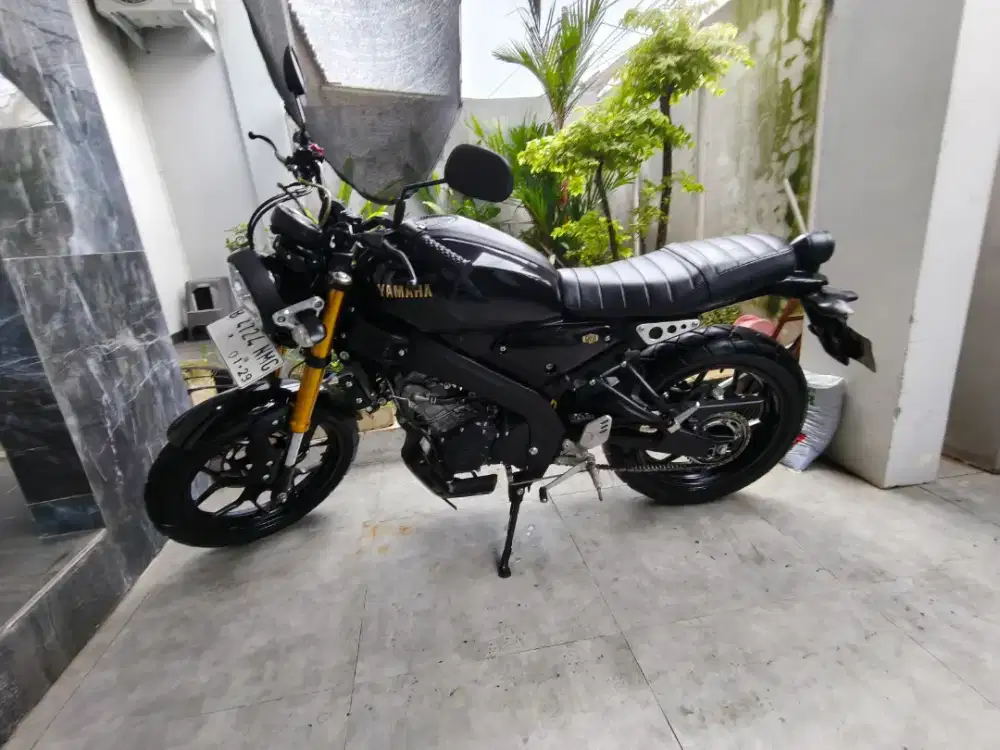 Yamaha XSR 155 2024