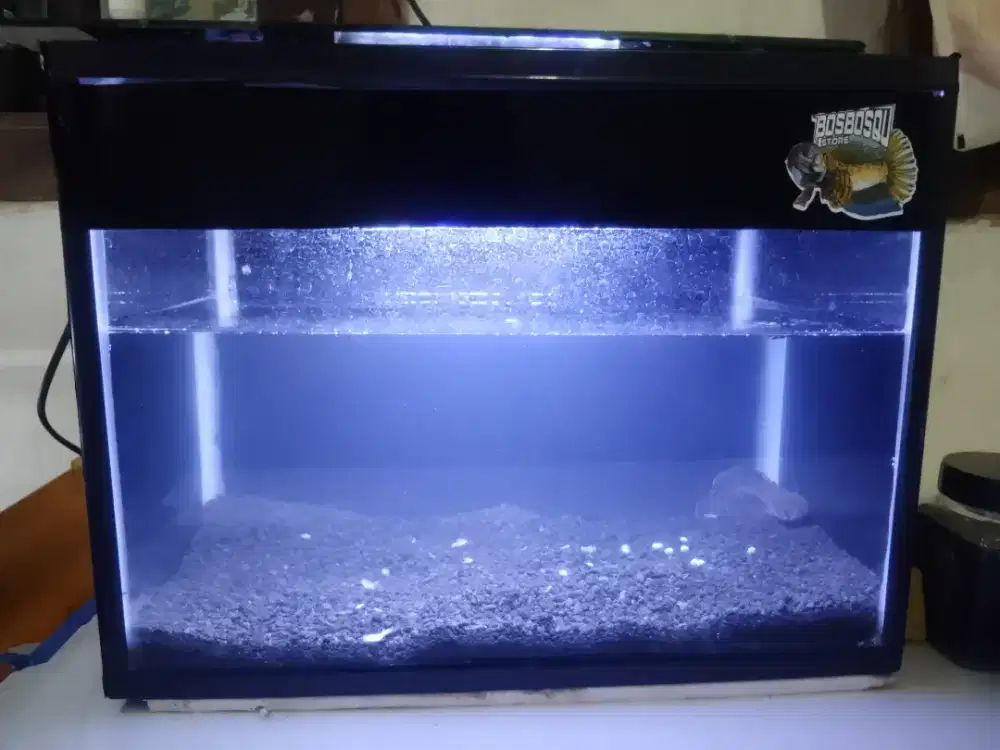 Aquarium+Ikan andrao