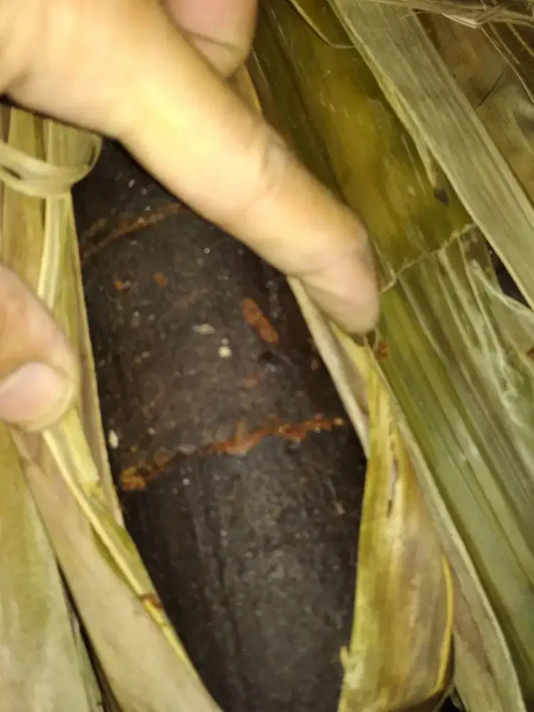 GULA AREN MURNI CIANJUR SELATAN