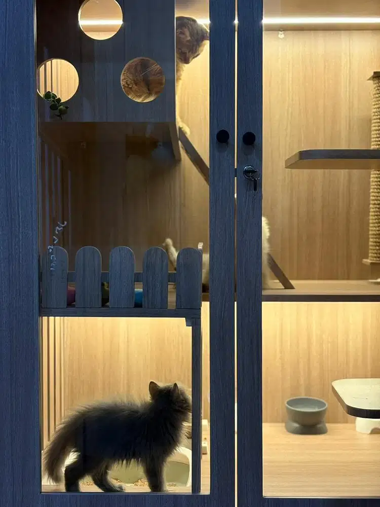 Jual Kandang Kucing Premium Custom