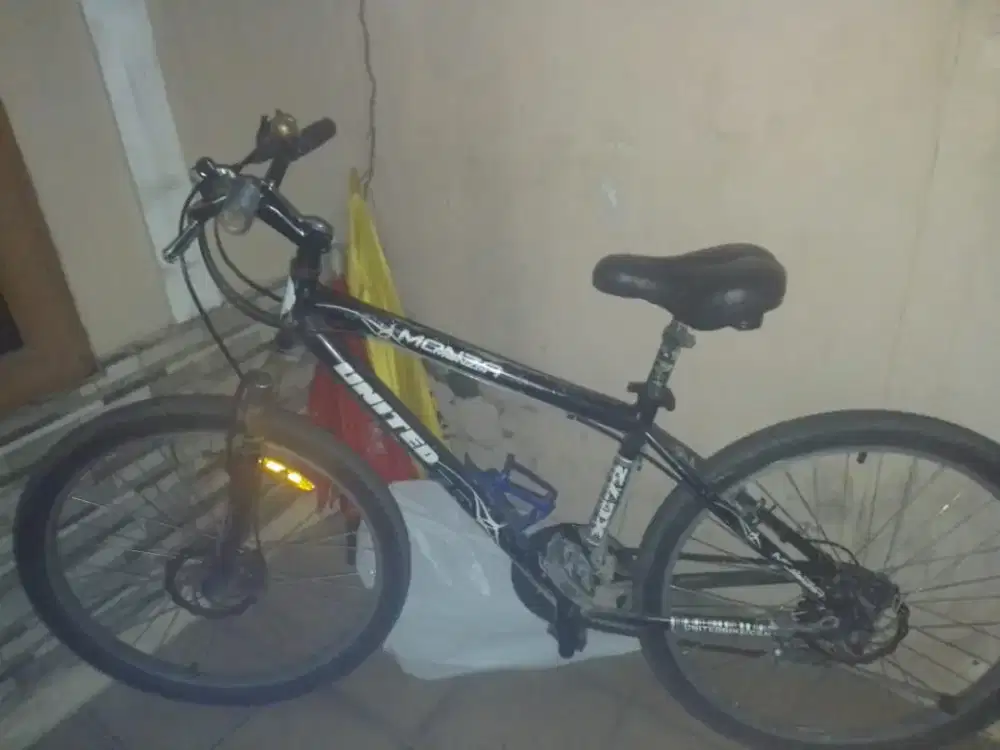 Sepeda united ukuran standar