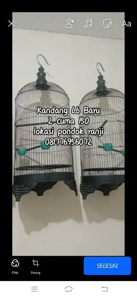kandang lb baru
