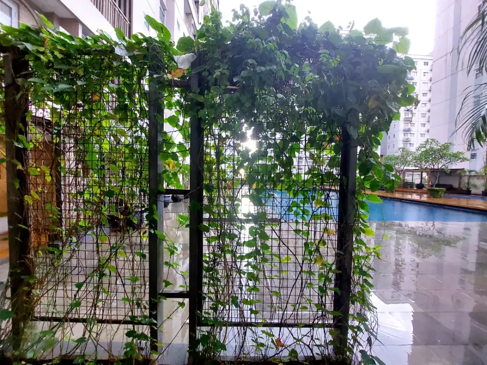 Disewakan Apartemen Oak Tower Gading Icon, nyaman , lokasi strategis