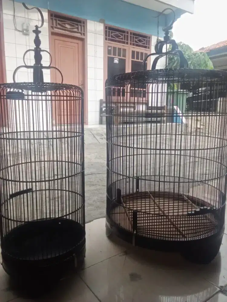 kandang burung muray