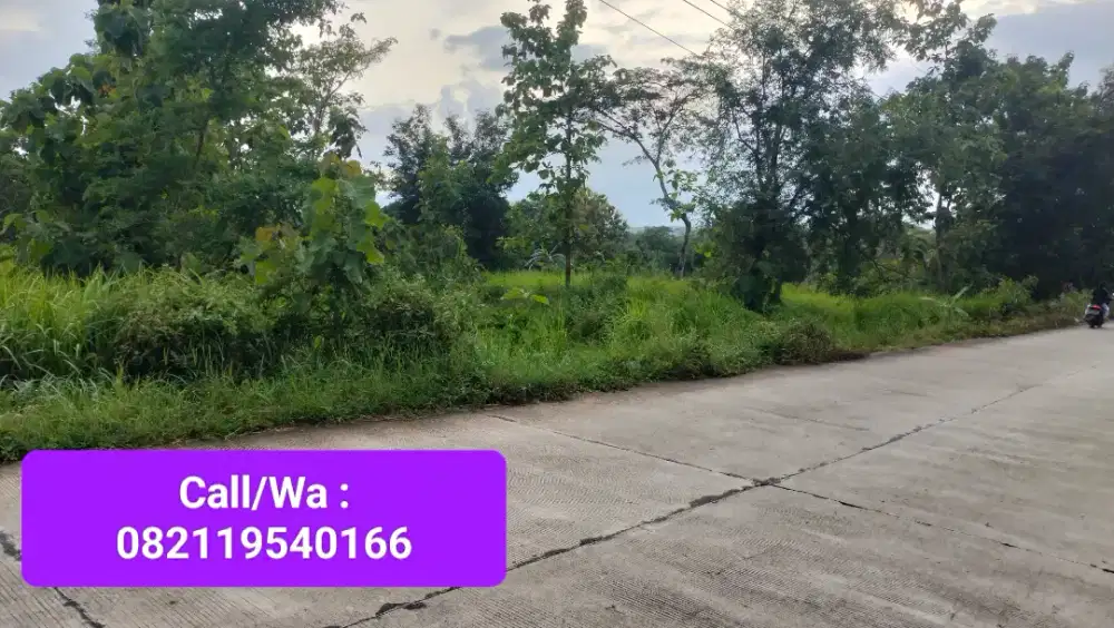 Tanah Zona Industri Jln Propinsi Wonogiri Kota