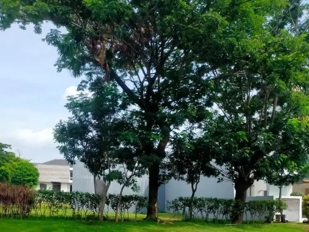 Tanah Lokasi Premium Strategis Raya Palm Beach Pakuwon City Surabaya