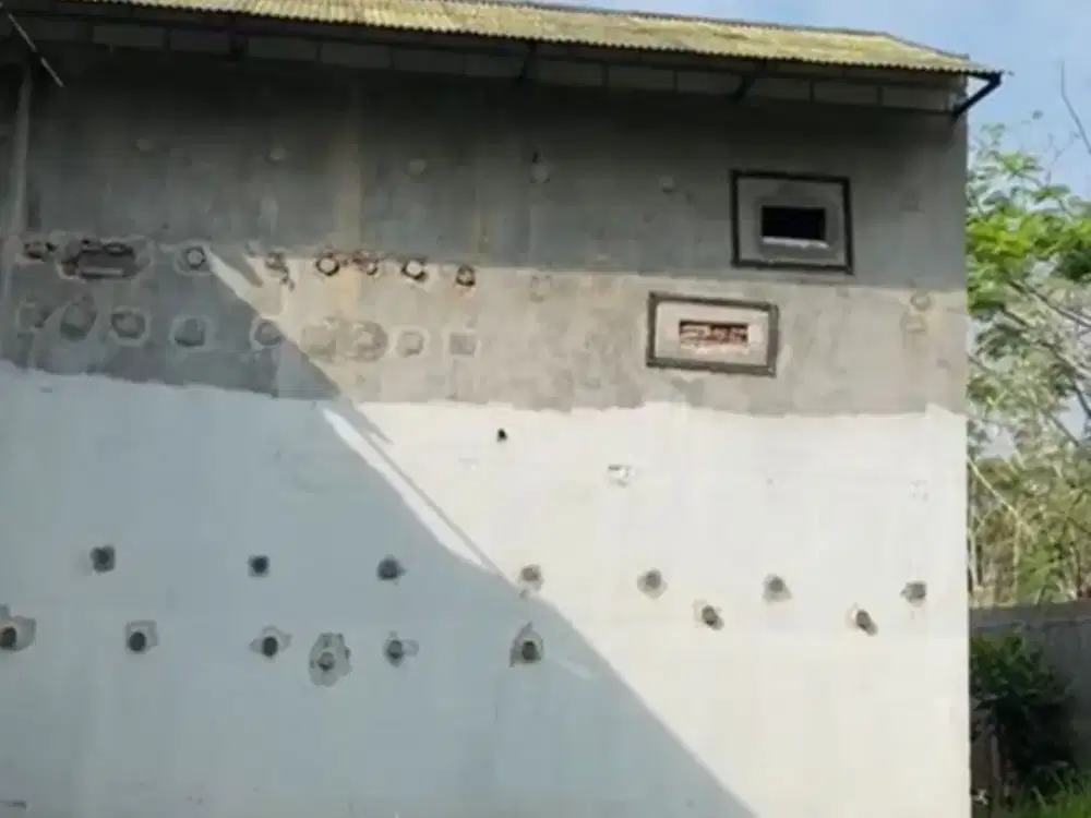 Dijual Rumah Sarang Burung Walet Aktif dan Berproduksi di Balaraja Barat