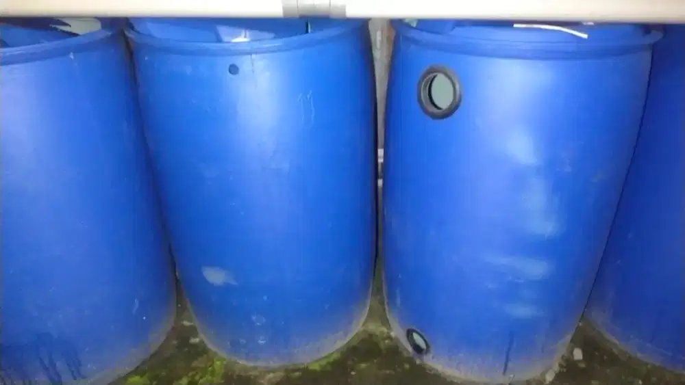 jual drum filter air kolam ikan