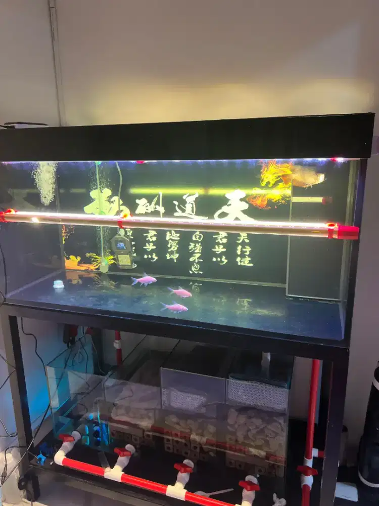Aquarium 120x60cm tebal 10mm (SUMP FILTER)