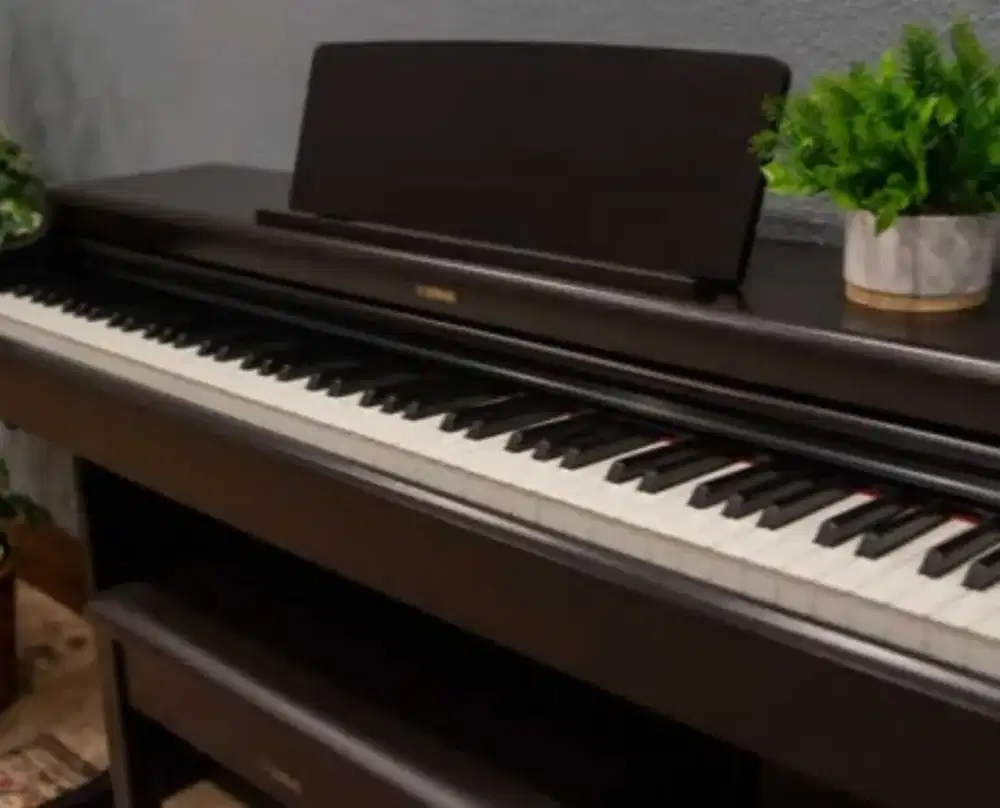 Jual YDP Digital Piano Yamaha 145