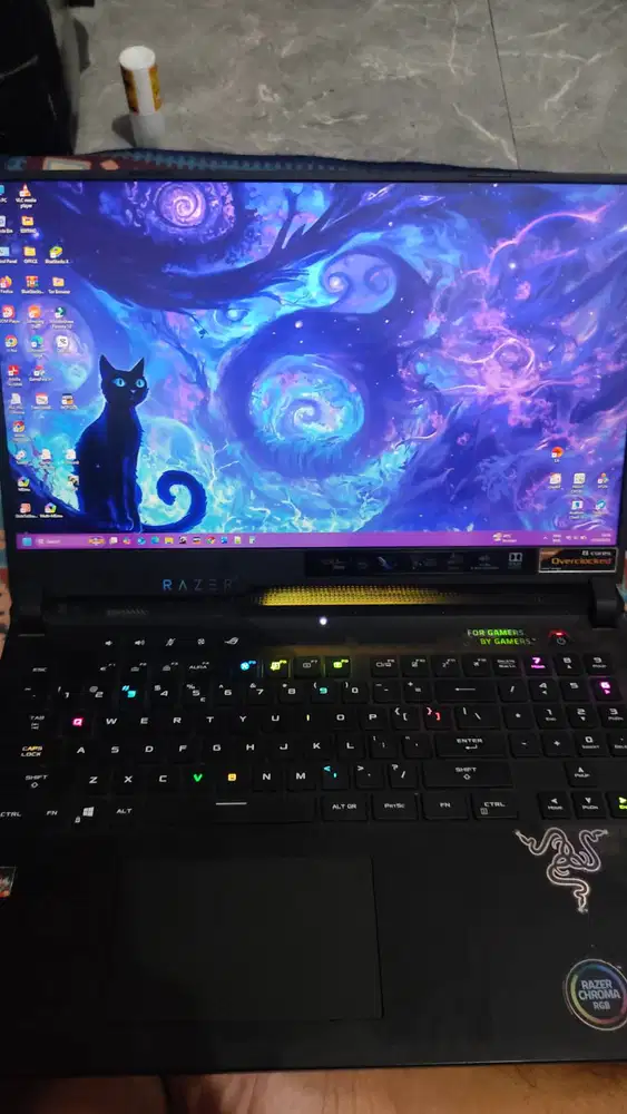 Asus ROG Strix G17 G733QM