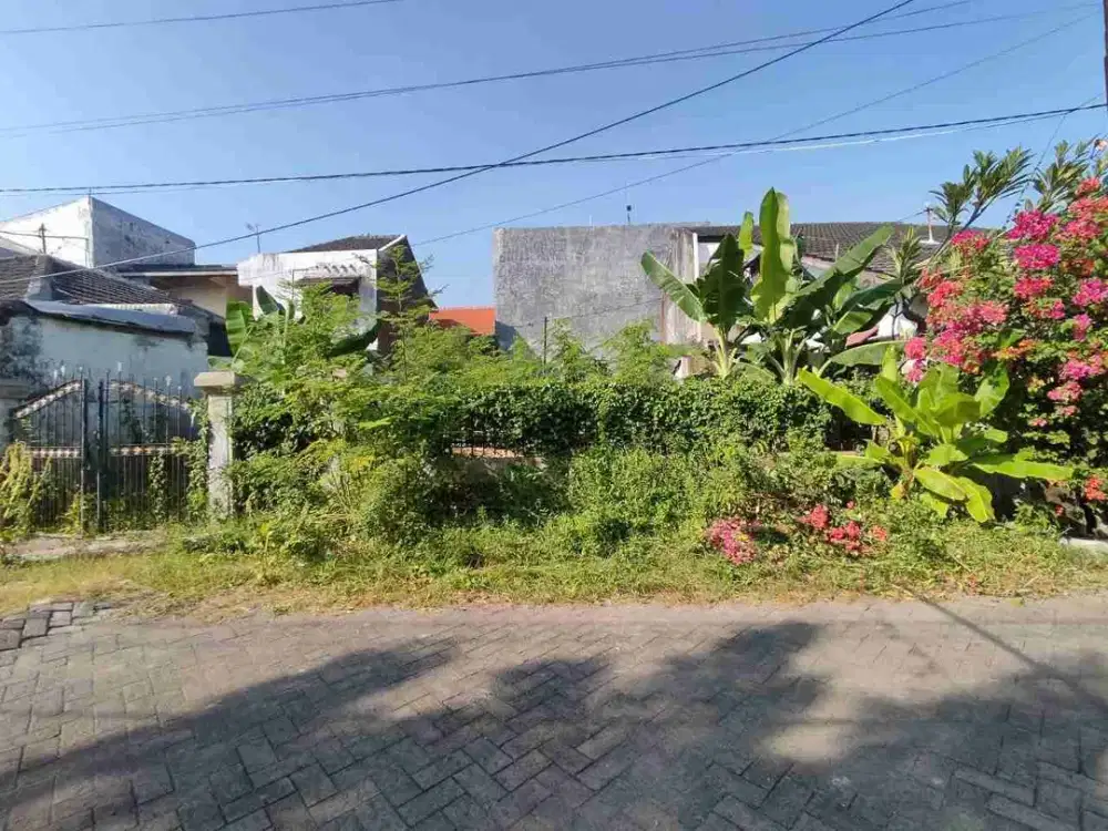 RUNGKUT MENANGGAL LEBAR 11 ‼️Jual Murah Tanah 6,1 Jutaan2 Cocok Dibangun 2 Rumah Baru