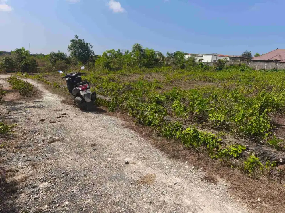 dijual tanah 5 are IDR 400 juta /are Kawasan GWK ungasan Kuta Selatan Badung Bali