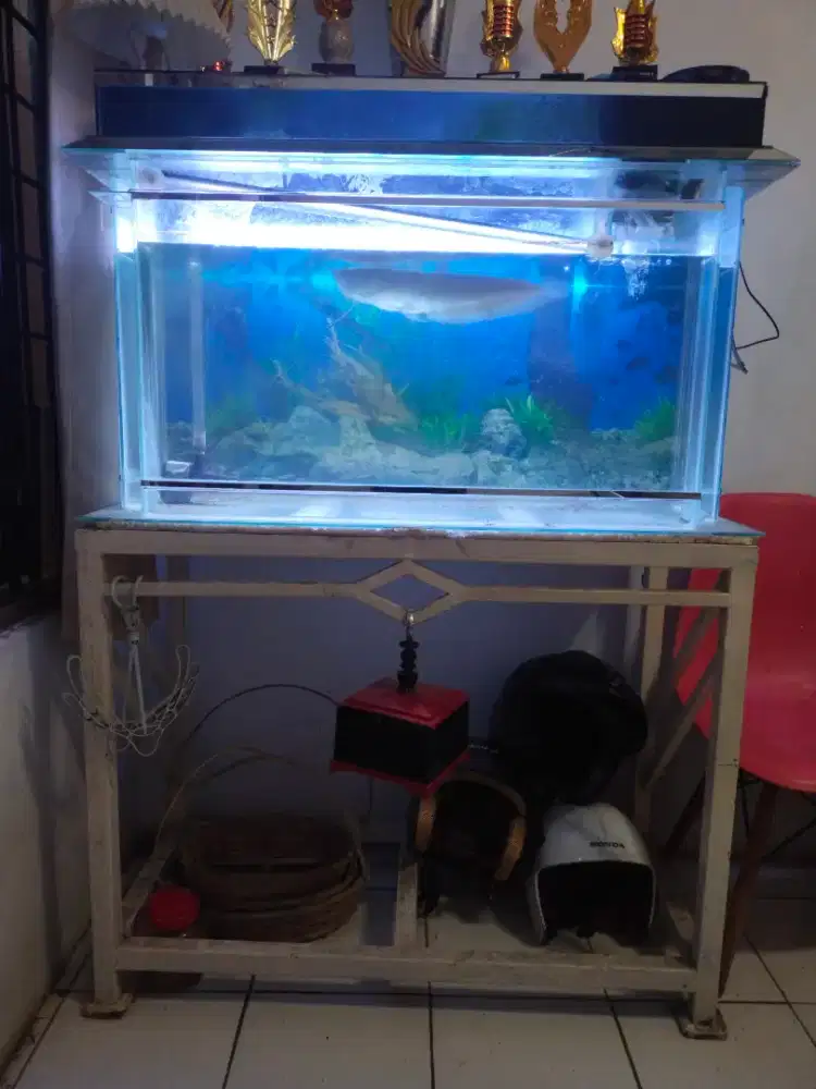 Aquarium 100x60x40 plus alat plus arwana 40cm