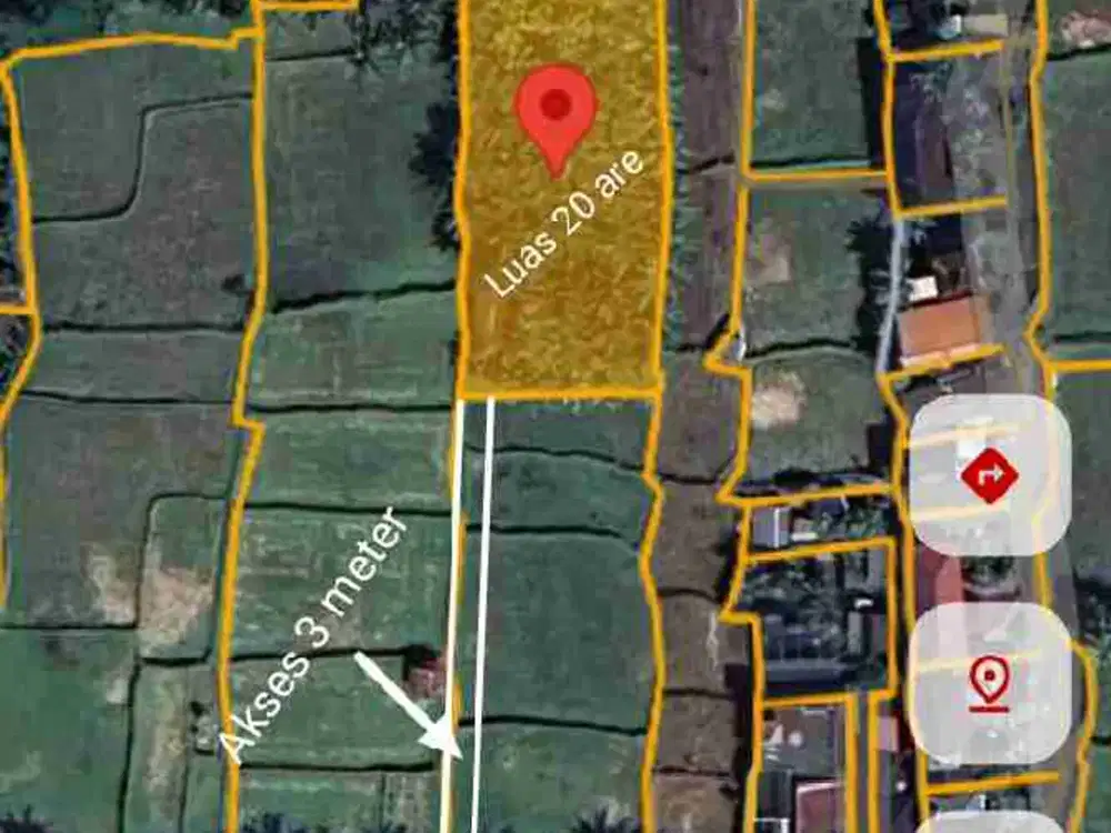 Tanah Disewakan Luas 20 Are View Sawah di Pejeng Ubud