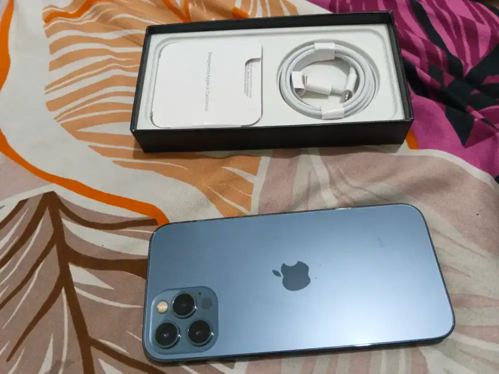 Iphone 12 pro 128gb suport apple