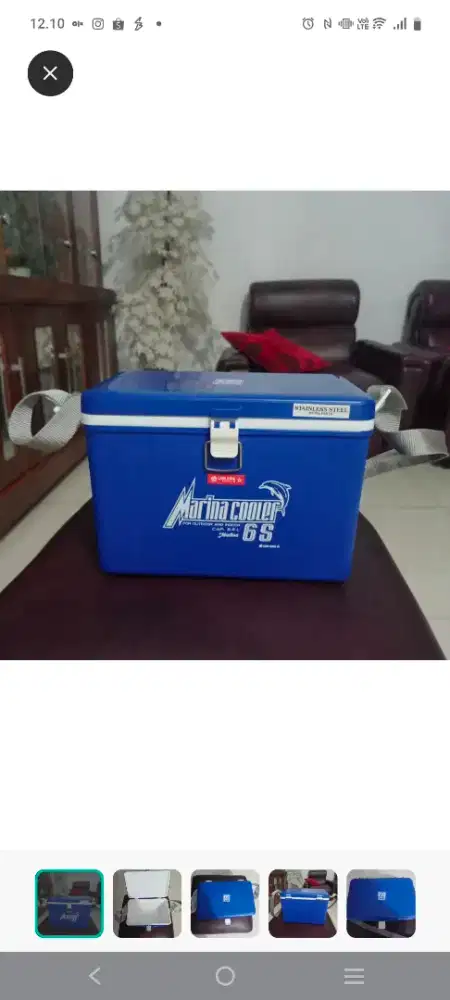 Cooler Box Lion Star