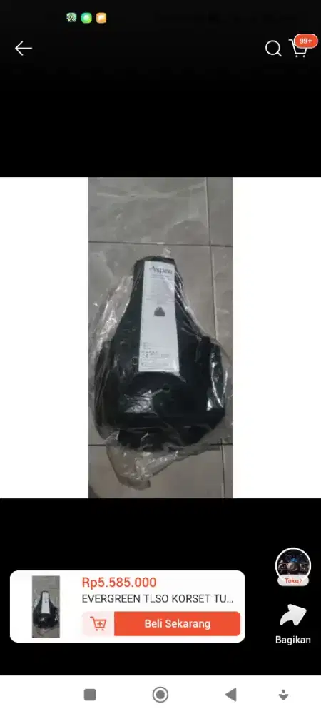 EVERGREEN TLSO KORSET TULANG BELAKANG