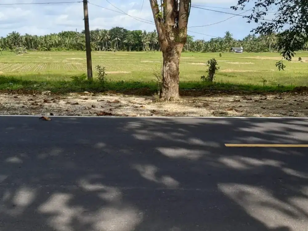 Tanah kosong pangandaran