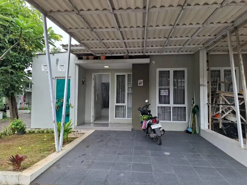 Dikontrakkan Imperial Green