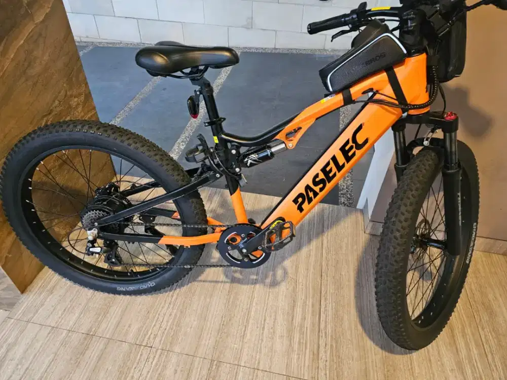 Ebike Paselec Gs9