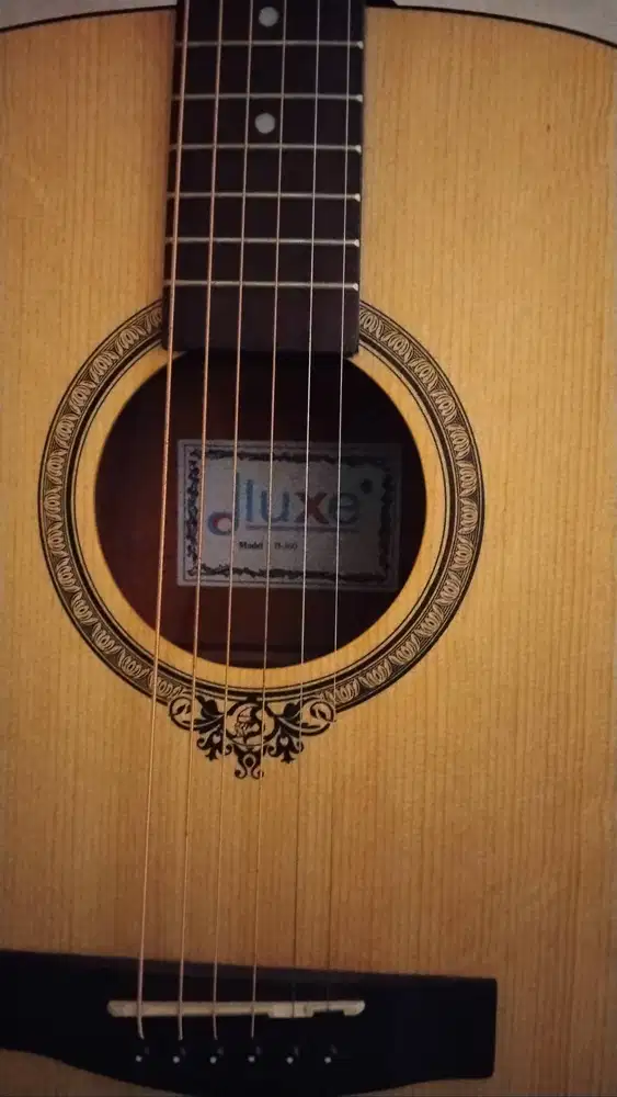 Gitar dluxe d100
