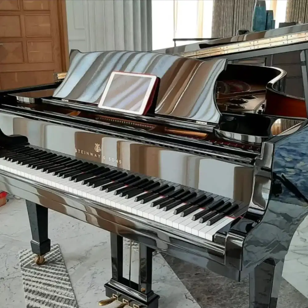 Pianodisc Prodigy System Automatic Player Piano Premium Grand&Upright