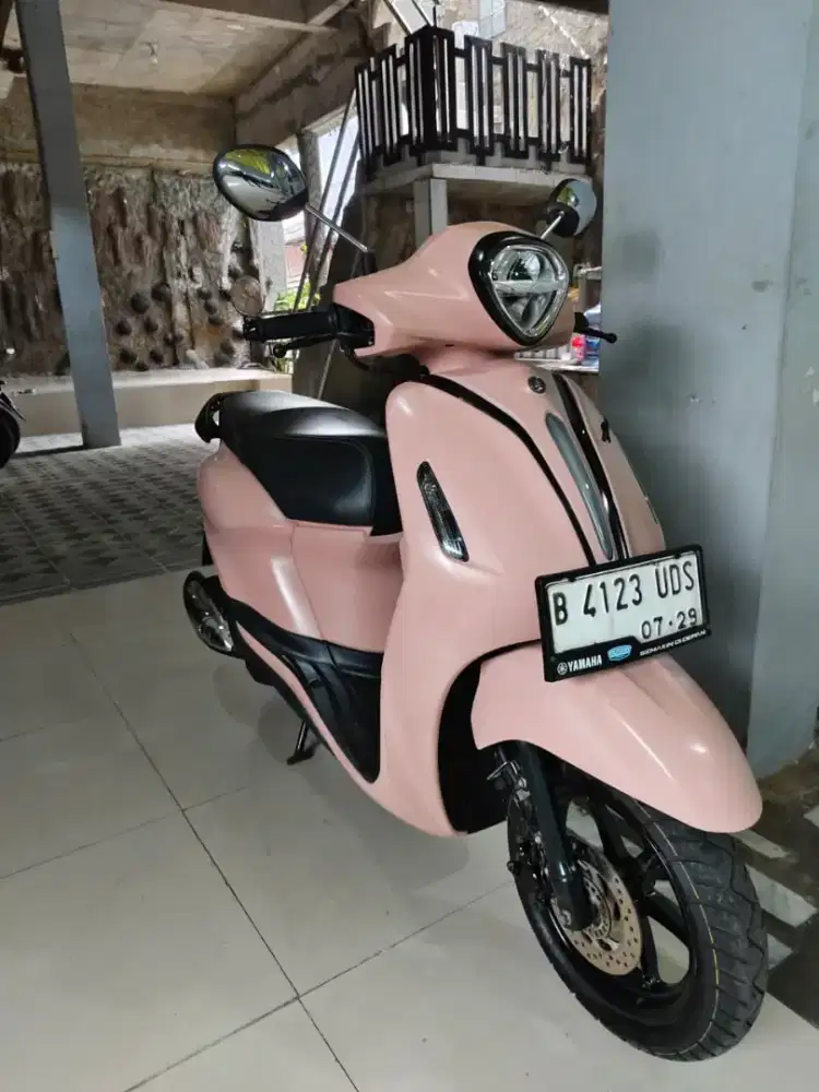 Grand fillano tahun 2024 surat lengkap pajak hidup panjang