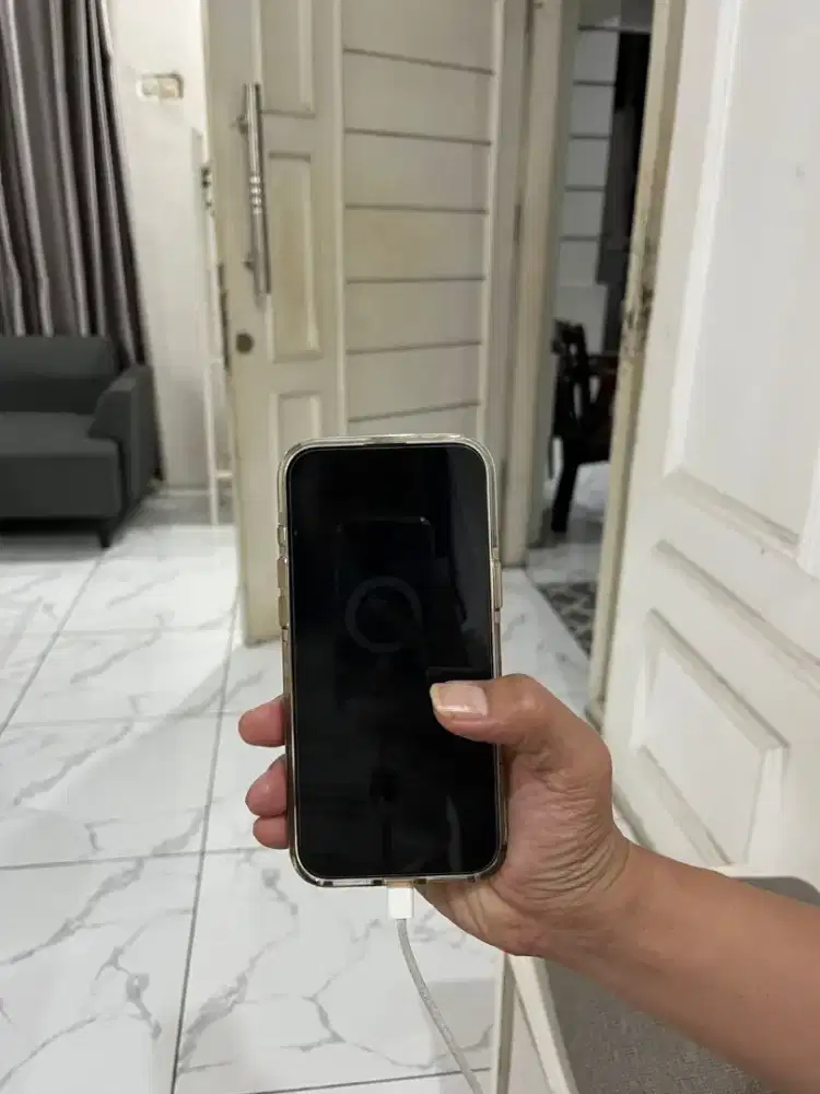 Iphone 16 PRO MAX  256 GB