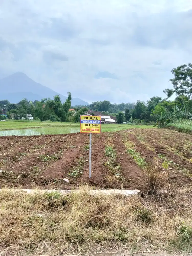 Dijual Tanah Cocok buat Villa