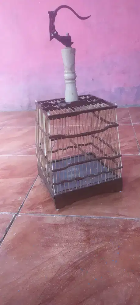 Kandang cungkok jadul pleci, prenjak dan burcil