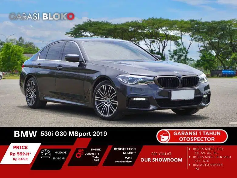 BMW 530i G30 MSport B48 2019 / 2020