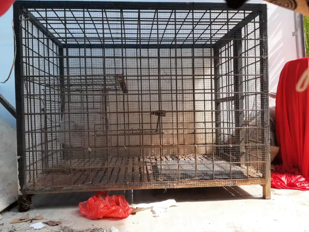 Dijual Kandang Kucing