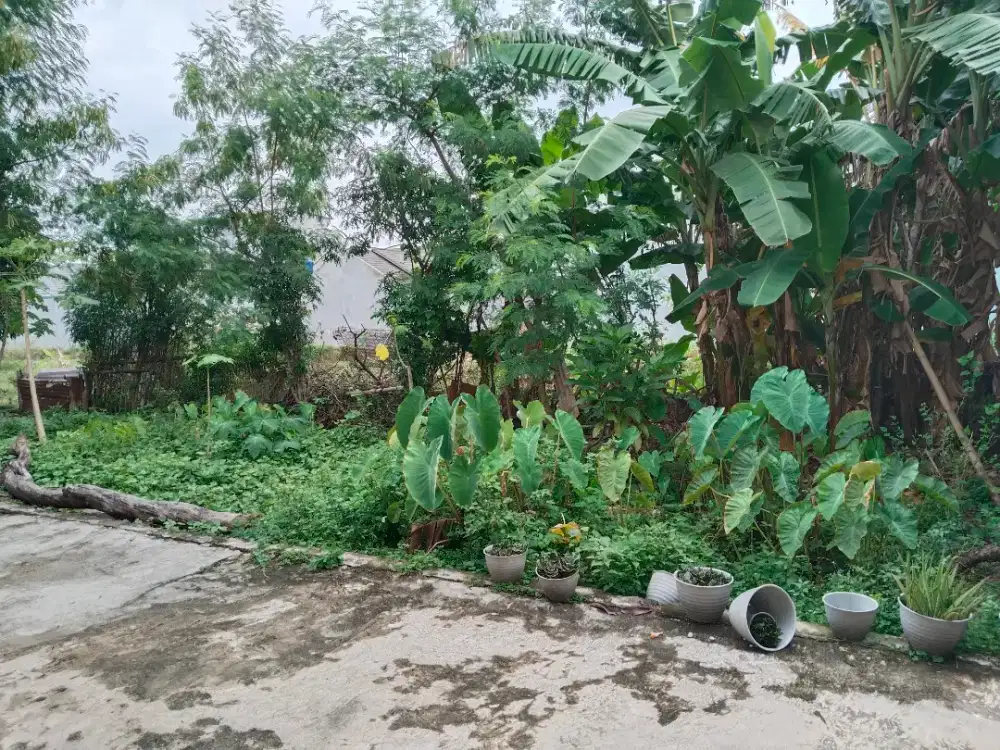 Dijual Kavling Siap Bangun di Kota Tangerang