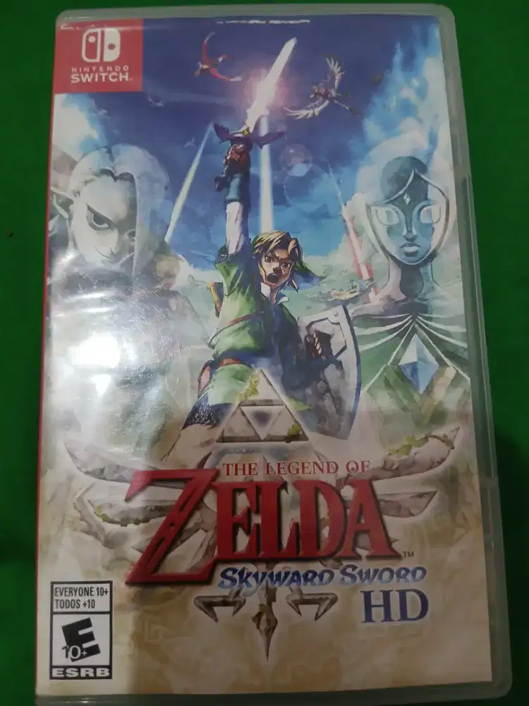 Nintendo Switch Game